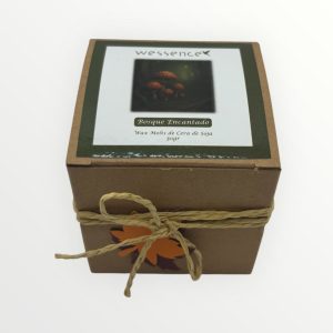 Caixa Cubo Wax Melts – Bosque Encantado