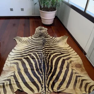 TAPETE COURO NATURAL DE ZEBRA – DIRETO DA AFRICA — M153.37
