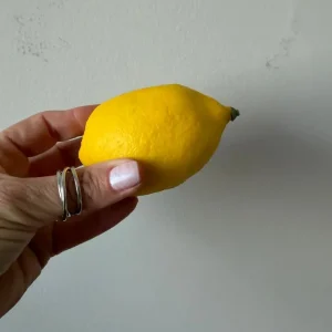 CONJUNTO DE FRUTAS ARTIFICIAIS – LIMÃO SICILIANO — S088.47